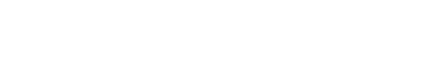 The Stereo Shop